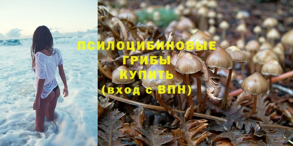 гидра Беломорск