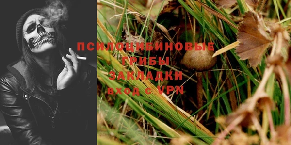 a pvp Белокуриха