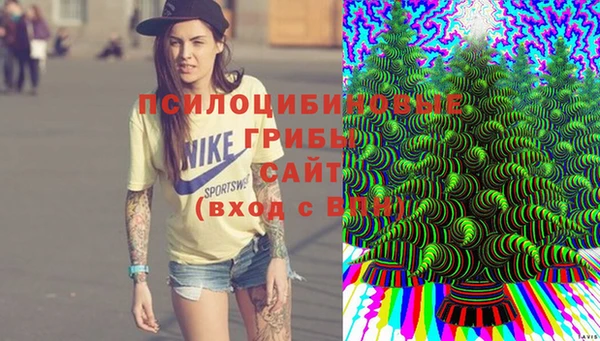 гидра Беломорск