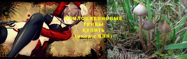 прущая мука Белоозёрский