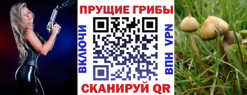 нарко площадка какой сайт  Ульяновск  Псилоцибиновые грибы прущие грибы  где найти  